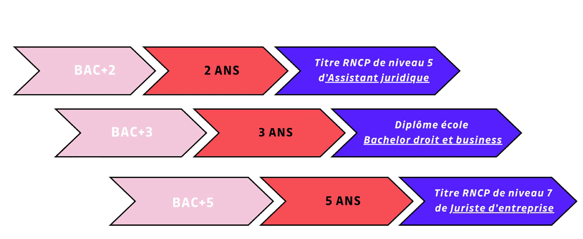Parcours étude Elije